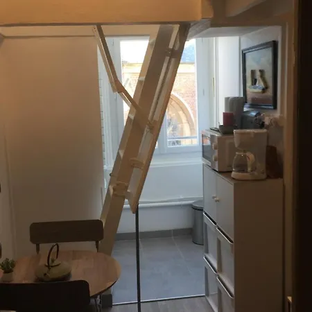 公寓 Studette Tiny House De L Eglise 12 M2 奥尔特