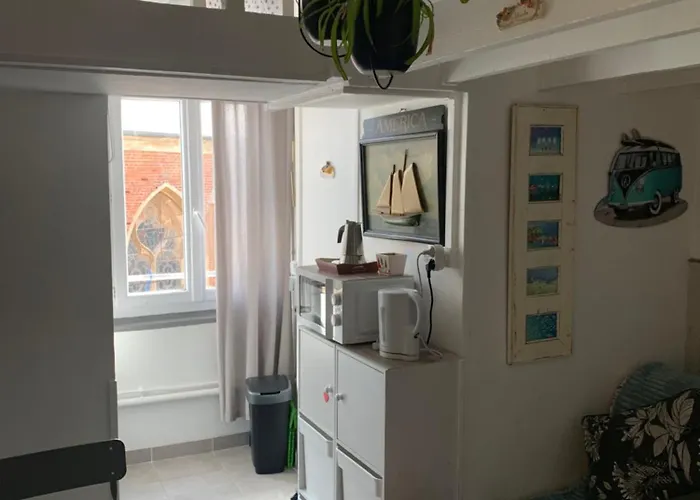 Studette Tiny House De L Eglise 12 M2 *